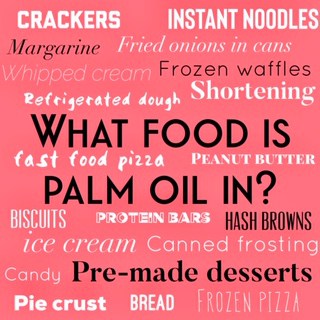 What food is palm oil in?
