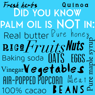 what doesn't contain palm oil