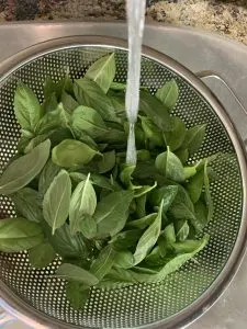 wash and dry basil leaves