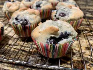 blueberry muffins with frozen blueberries