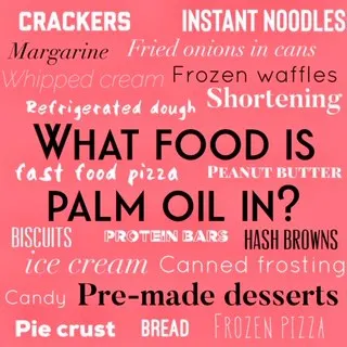What food is palm oil in?