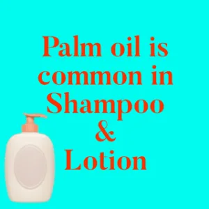 palm oil common in self-care products