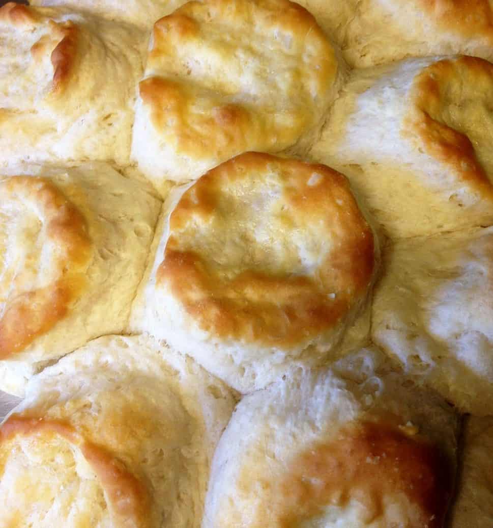 Vegan Biscuits ~ Southern Style Biscuits that Taste Like Home